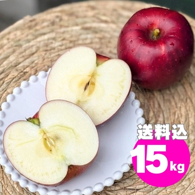 リンゴページ 3つセット 段ボール入りんご専用 短冊のしオプション | タムラファームショップ